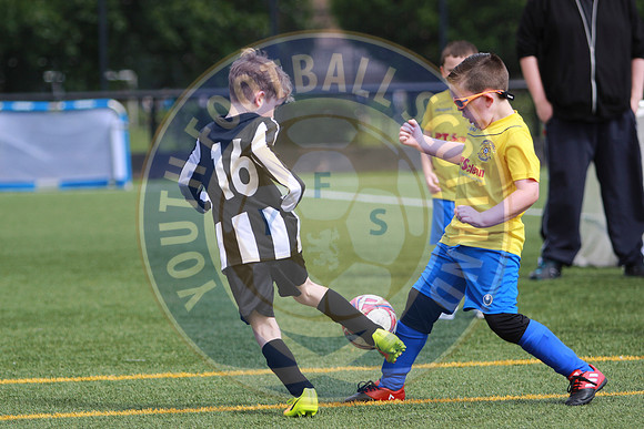 Reamonn Gormley Memorial Soccer Festival - Hamilton Palace Sport