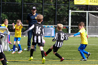 Reamonn Gormley Memorial Soccer Festival - Hamilton Palace Sport