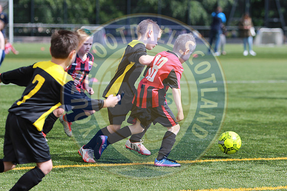 Reamonn Gormley Memorial Soccer Festival - Hamilton Palace Sport