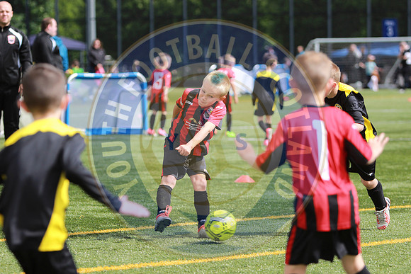 Reamonn Gormley Memorial Soccer Festival - Hamilton Palace Sport