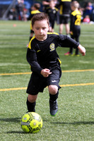 Reamonn Gormley Memorial Soccer Festival - Hamilton Palace Sport
