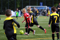 Reamonn Gormley Memorial Soccer Festival - Hamilton Palace Sport