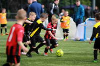 Reamonn Gormley Memorial Soccer Festival - Hamilton Palace Sport
