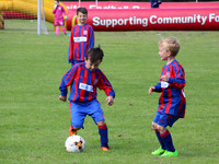 Soccer Sevens (Action)
