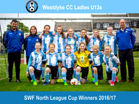 Westdyke CC 13G North League Cup