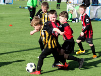 Gairdoch 2015s Festival 2022