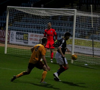 Dundee FC vs Motherwell FC (U20s)