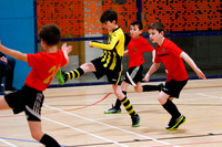 SSYF Futsal Cup, Bellahouston Leisure Centre, Saturday 27th Janu