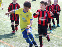 Action Photos - Saturday