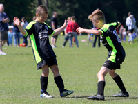 Action Photos - Morning