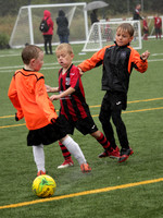 2011 Action Photos