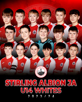 Team Posters