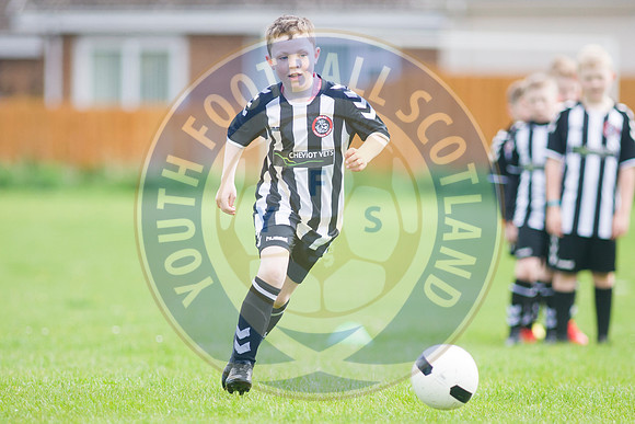 27/04/19 Kelso FC v Selkirk FC (U9's)