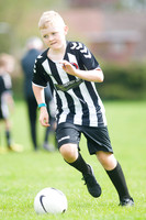 27/04/19 Kelso FC v Selkirk FC (U9's)