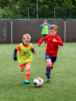 Pro Academy Summer Camp (5 - 8 years)