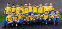 Hillfield Swifts
