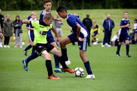 Action Photos