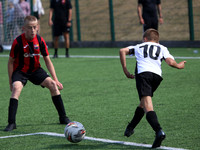 Action Photos
