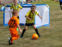 Action Photos
