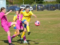 Hillfield Swifts Girls Festival