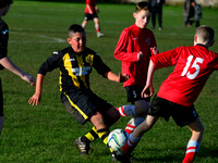 Hutchinson Vale 2001's vs Clydebank Colts 2001's,