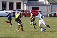 Musselburgh Windsor  FC v Hutchison Vale FC (U13s)