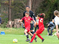 U12 Girls Final - Newcastle East End v Newcastle City Juniors